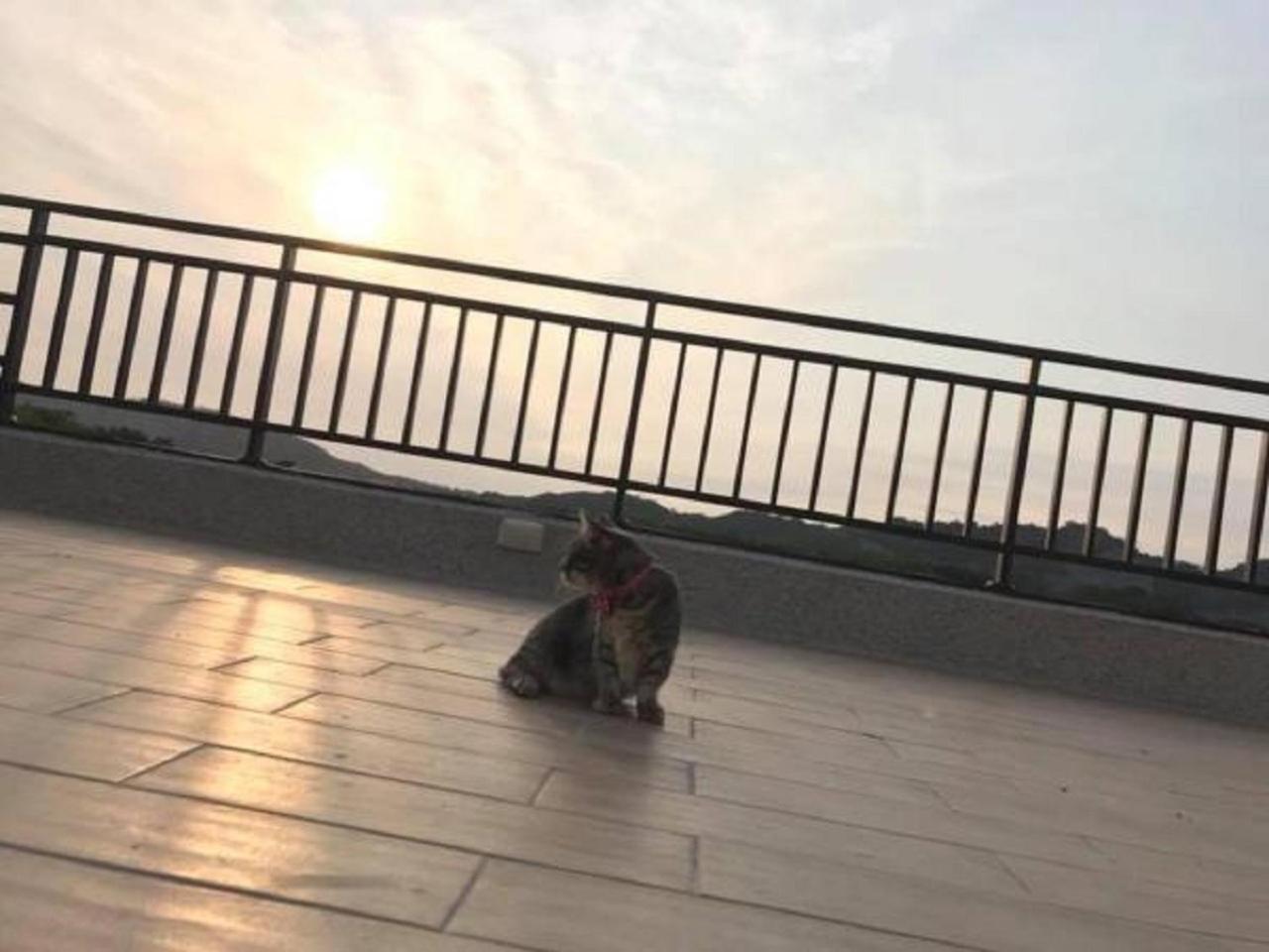 Sunny Sky Homestay Yujing Dış mekan fotoğraf